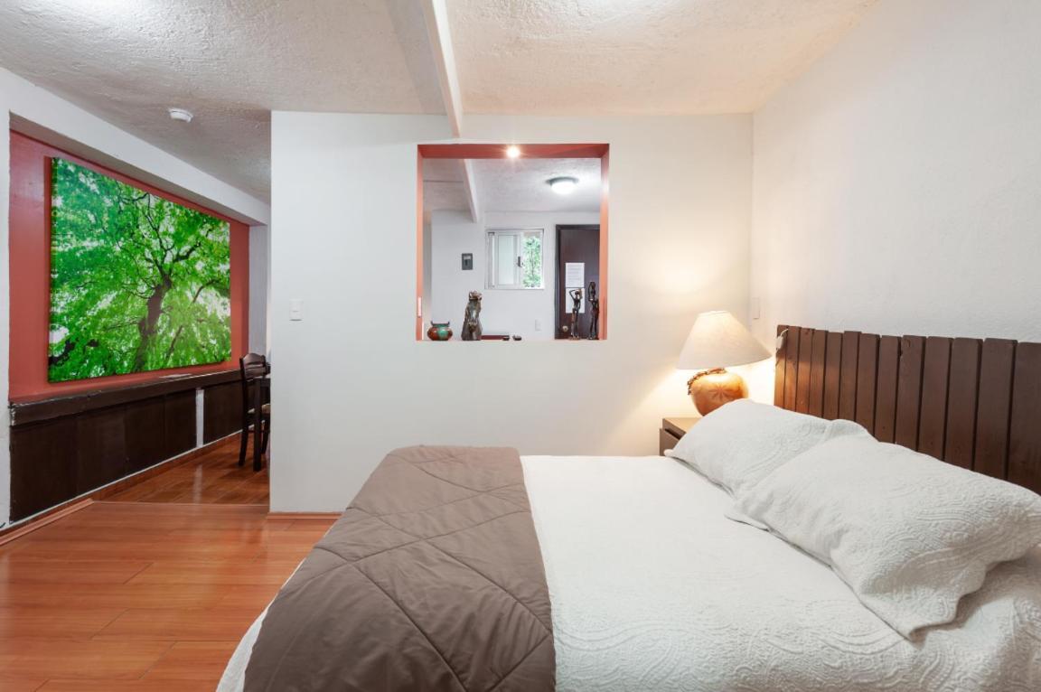 Suite 5A, Altavista, Garden House, Welcome To San Angel Mexikóváros Kültér fotó