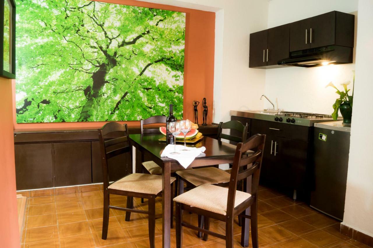 Suite 5A, Altavista, Garden House, Welcome To San Angel Mexikóváros Kültér fotó