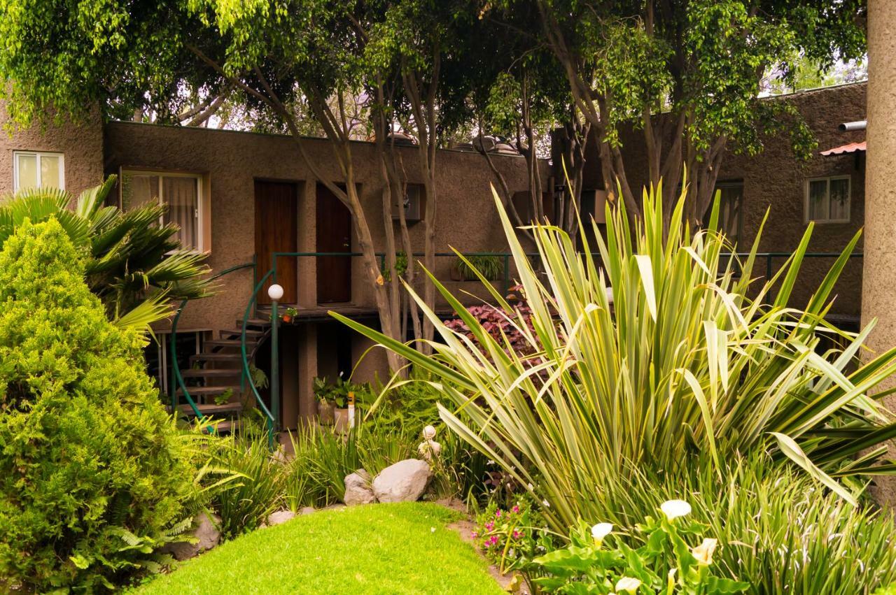 Suite 5A, Altavista, Garden House, Welcome To San Angel Mexikóváros Kültér fotó