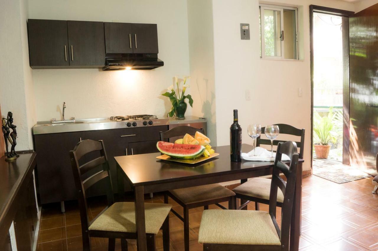 Suite 5A, Altavista, Garden House, Welcome To San Angel Mexikóváros Kültér fotó